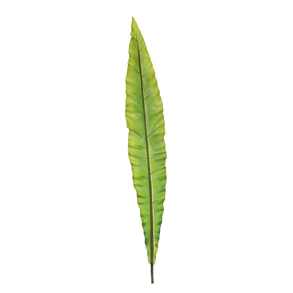 HOJA RAMA 142411