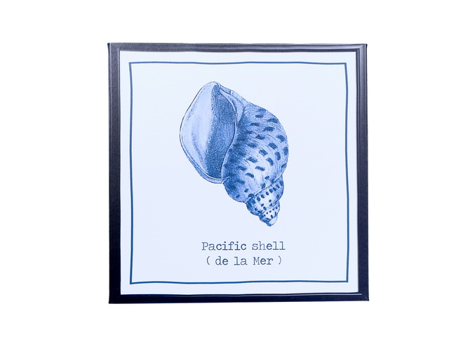 CUADRO PACIFIC SHELL 422284