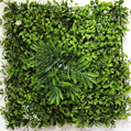 PLANTA PARED F20132 (50 x 50cm)