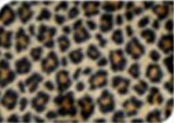 ALFOMBRA CAUCHO DISEÑO LEOPARDO HZ1000550L2 (60 x 90cm)