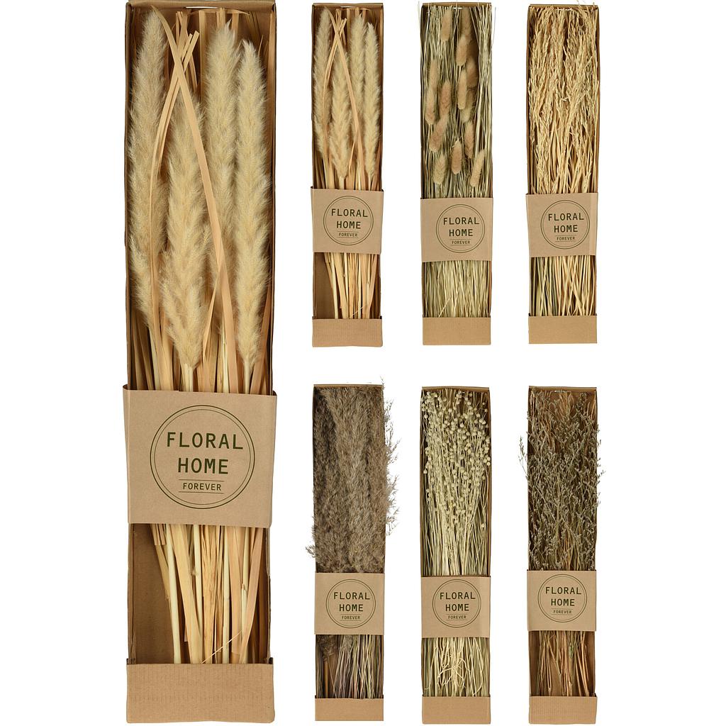 RAMAS PLANTAS SECAS NATURALES D22701110