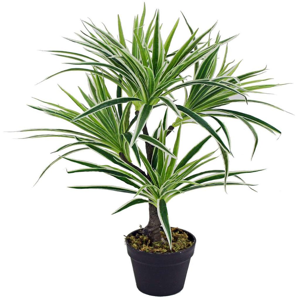 PLANTA ARTIFICIAL NINFA F21896 (70cm)