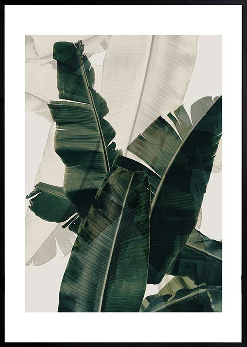 CUADRO HOJAS VERDES 15496B (50 x 70cm)
