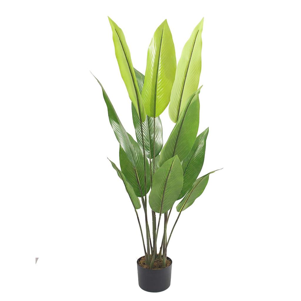 PLANTA ARTIFICIAL ESTRELITZIA CON MACETA F23263 (145cm)