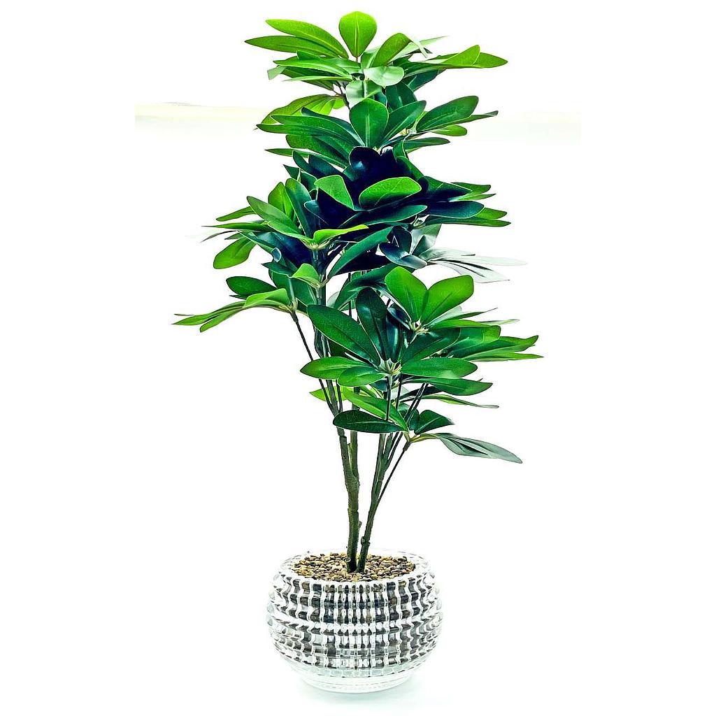 PLANTA ARTIFICIAL SCHEFLERA MACETA DE VIDRIO F23580 (60cm)