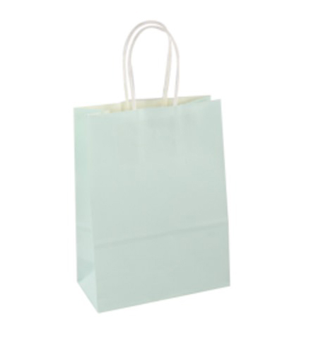 FUNDA KRAFT CELESTE IM22-1952/CE/MATE (27 x 21 x 11cm)