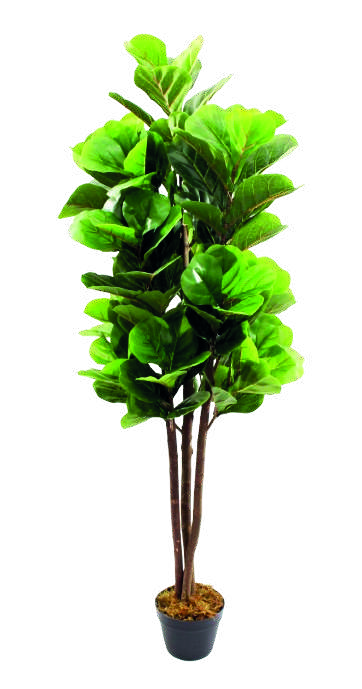 PLANTA ARTIFICIAL FICUS CON MACETA F23901 (150cm)