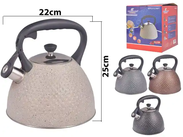 TETERA ACERO INOX. VARIOS COLORES 208077 / ES20446 (22 x 25cm /3lt)