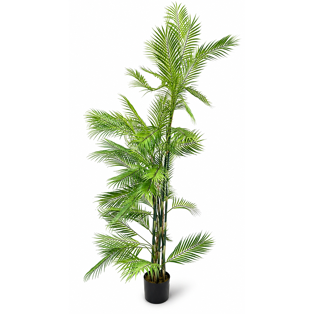 PLANTA ARTIFICIAL ARALIA MING 4HM5-3 (190cm)