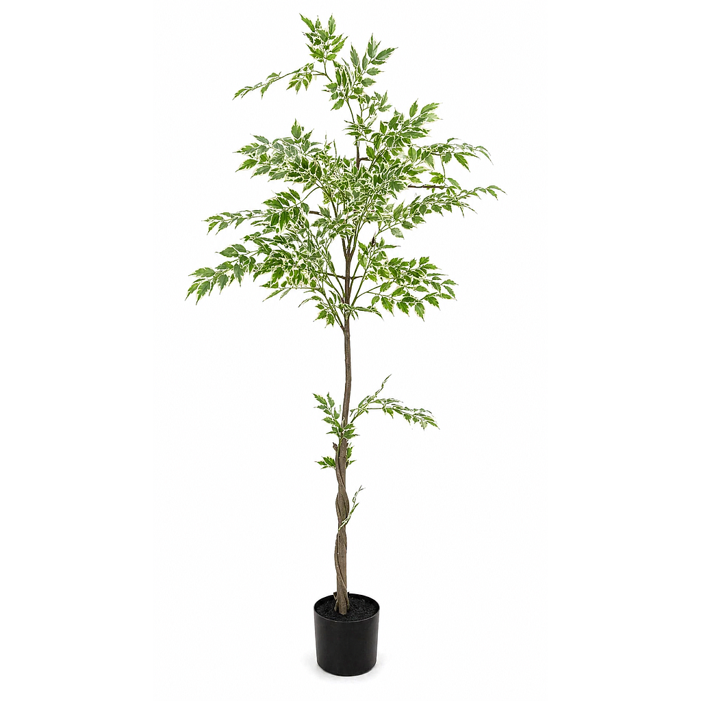 PLANTA ARTIFICIAL ARBOL ESMERALDA 4HM5-4