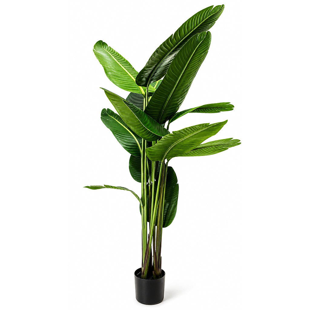 PLANTA ARTIFICIAL CALATHEA PINSTRIPE 4HM5-8 (160cm)