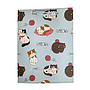 FUNDA DE REGALO VARIOS DISENOS IM23-0079 (18 x 24 x 8.5cm)