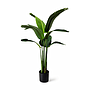 PLANTA ARTIFICIAL ALOCACIA PURPLE 4HM5-7 (105cm)