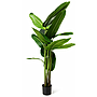 PLANTA ARTIFICIAL CALATHEA PINSTRIPE 4HM5-8 (160cm)